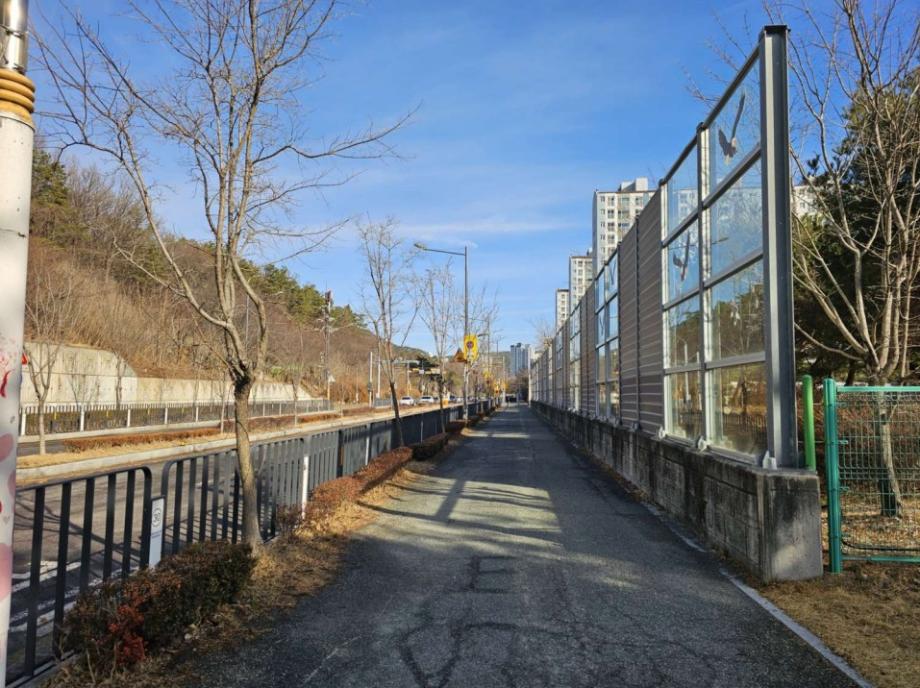 (7 23) 1 유성구 새미래초중 등하굣길 자녀안심 그린숲 조성 사진.jpg