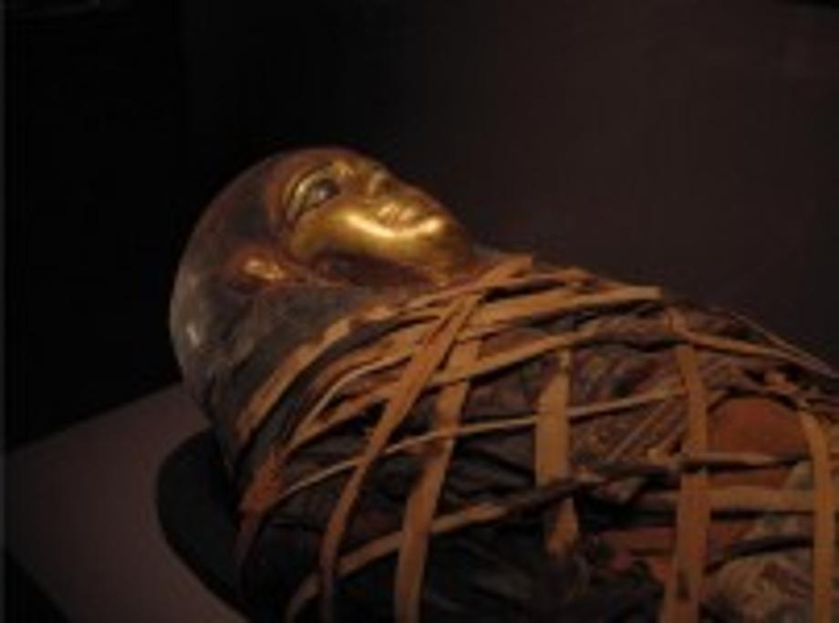 2250년 전 이집트 미라에서도 발견된 암 이미지