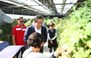 국화 양묘장 격려 방문(2018.9.17.)