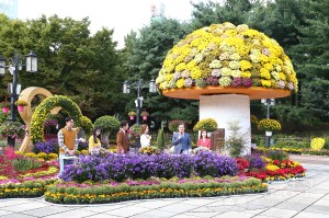 TJB 생방송투데이 녹화(2019.10.15.)