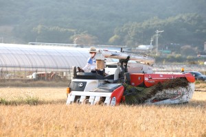 2021년도 관내 추수현장 방문