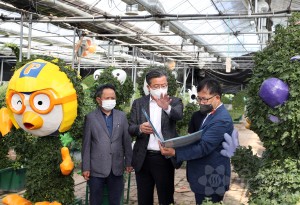 유성국화전시회 준비상황 사전점검