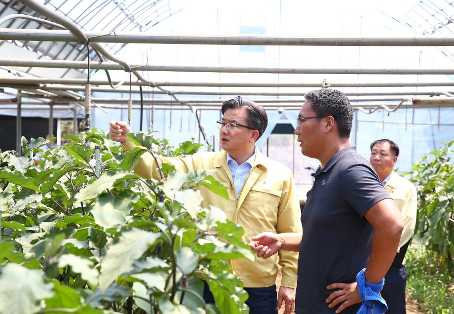 농민격려차 하우스시설농가 방문(2018.8.2.) 이미지