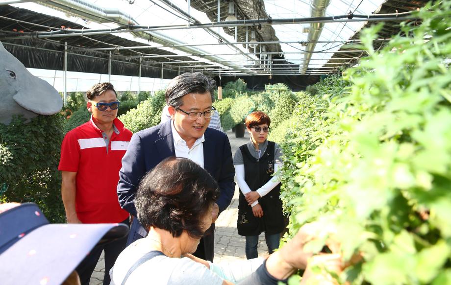 국화 양묘장 격려 방문(2018.9.17.) 이미지