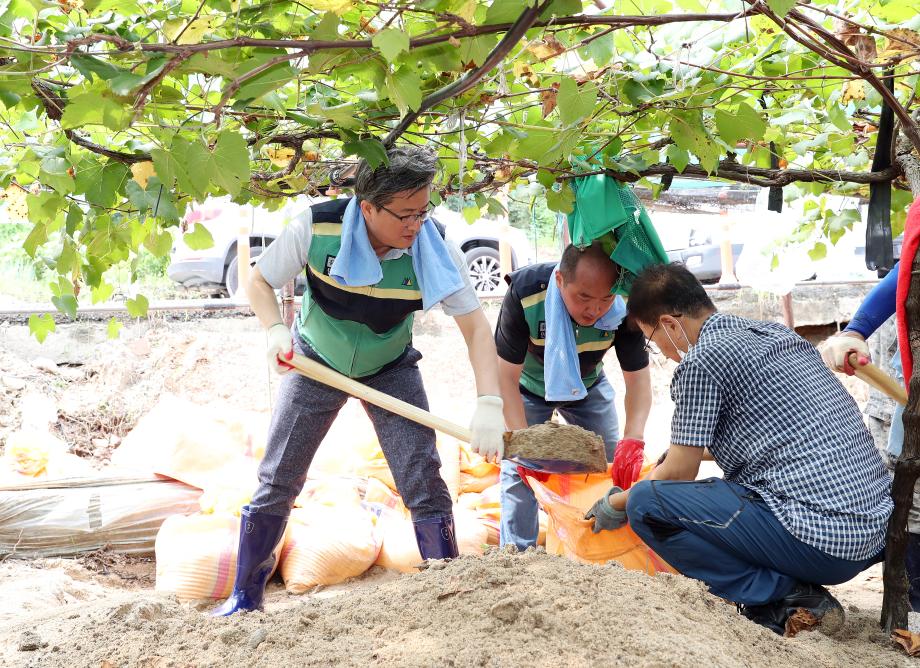 집중호우 피해농가 복구활동(2020.8.14.) 이미지