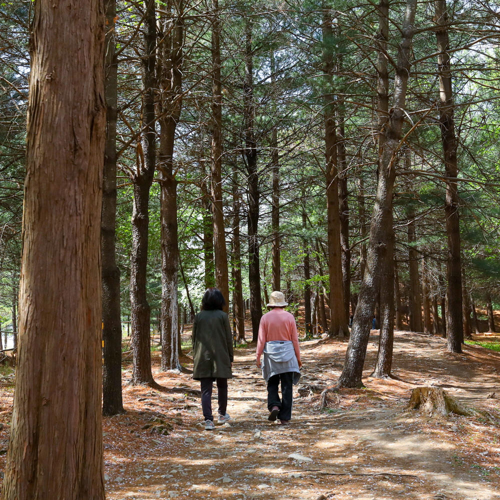 고귀한 정신을 기리는 호국추모공원 관련 사진02